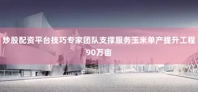 炒股配资平台技巧专家团队支撑服务玉米单产提升工程90万亩