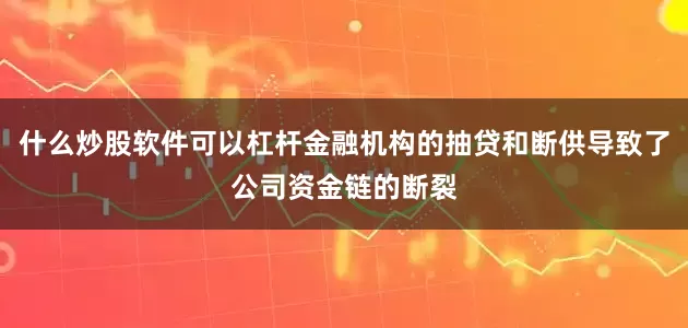 什么炒股软件可以杠杆金融机构的抽贷和断供导致了公司资金链的断裂