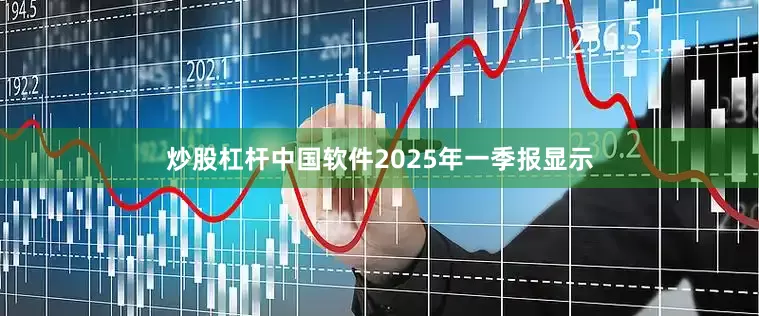 炒股杠杆中国软件2025年一季报显示