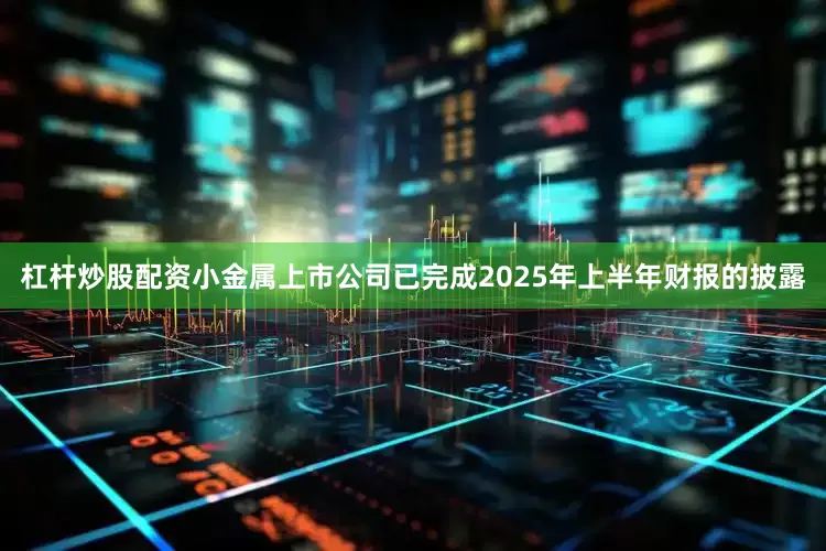 杠杆炒股配资小金属上市公司已完成2025年上半年财报的披露