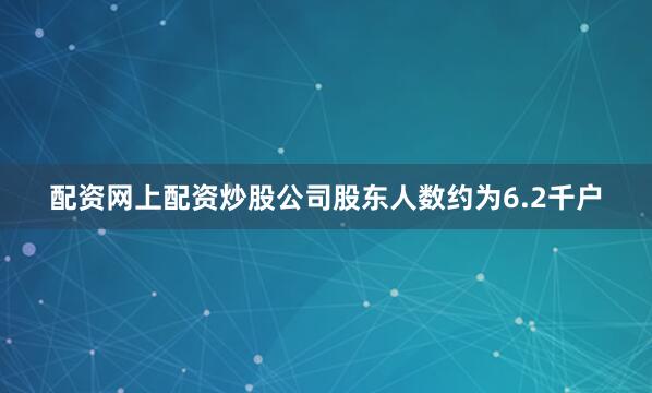 配资网上配资炒股公司股东人数约为6.2千户